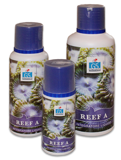 Reef A