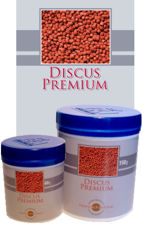 Discus Premium